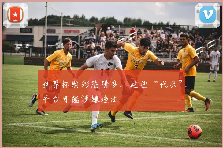 世界杯购彩陷阱多：这些“代买”平台可能涉嫌违法