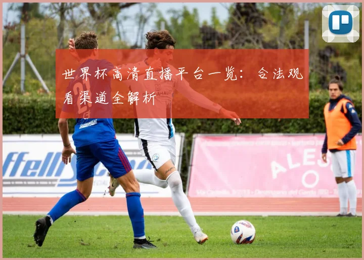 世界杯高清直播平台一览:合法观看渠道全解析