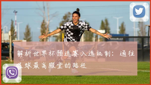 解析世界杯预选赛入选机制：通往足球最高殿堂的路径
