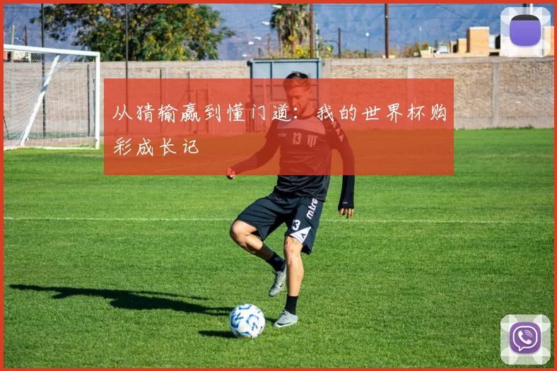 从猜输赢到懂门道：我的世界杯购彩成长记