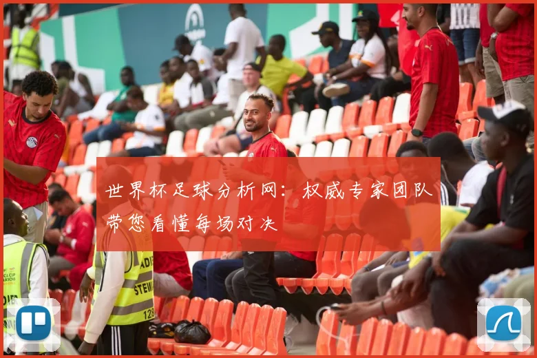 世界杯足球分析网：权威专家团队带您看懂每场对决