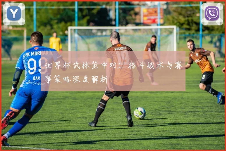 世界杯武林笼中对：格斗战术与赛事策略深度解析