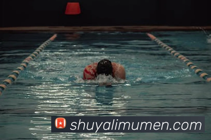 开云手机在线官网登录APP 高清赛事图